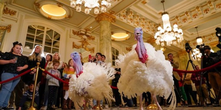 PETA protests Biden turkey pardon with ‘Hell on Wheels’ display, subliminal messaging to make people go vegan