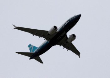FAA will not require immediate 737 MAX engine action after bird strikes