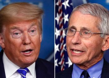 Fauci ripped over new paper criticizing Trump on coronavirus, promoting natural origin theory: ‘Embarrassment’