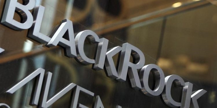 BlackRock’s private markets push may not be over after 2024 buyout spree