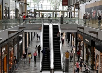 Singapore economists see growth of 3.6% in 2024, monetary policy unchanged in January