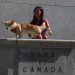 Bank of Canada likely to reduce interest rate by 50bps