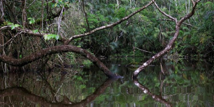 Ecuador completes $1.5 billion debt swap for Amazon conservation