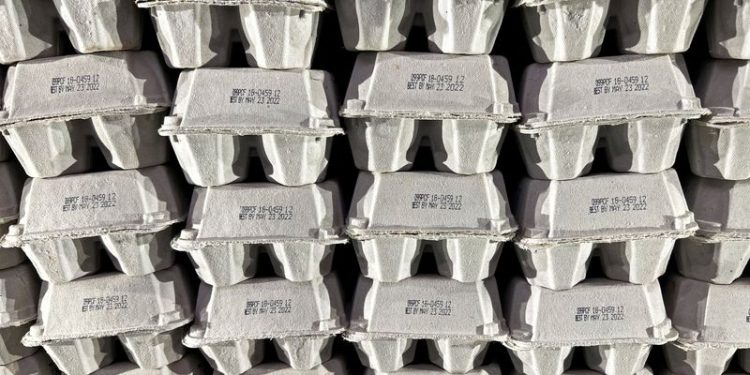 Bird flu drives US egg prices to all-time highs before Christmas