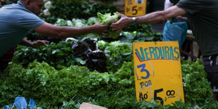 Brazil mid-December inflation slows but ends year above target