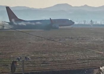 Experts question bird strike as cause of deadly South Korean airliner crash