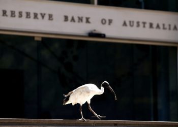 RBA keeps rates steady as expected, flags some confidence in easing inflation