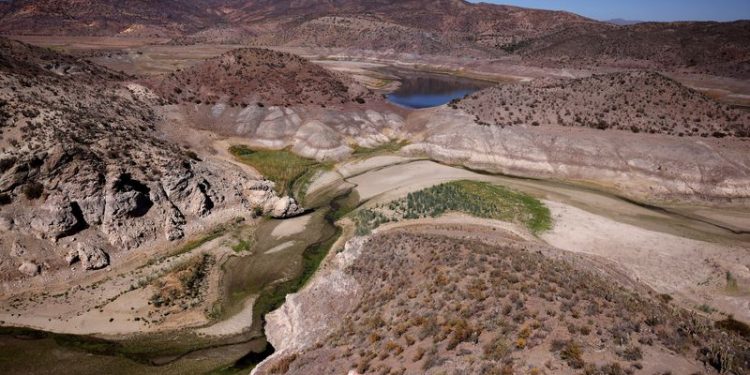 Exclusive-UN calls for $2.6 trillion investment to reverse land degradation