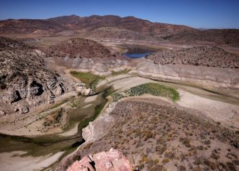 Exclusive-UN calls for $2.6 trillion investment to reverse land degradation