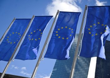 ECB to cut rates by 25 bps on Dec. 12; at least four more likely in 2025- Reuters poll