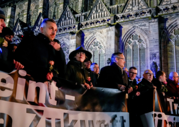 Germany accuses Elon Musk of trying to interfere in its national elections