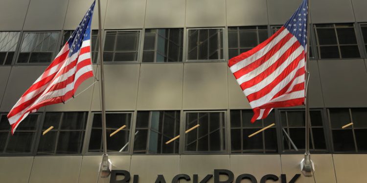 BlackRock CEO suggests renewed investment in Europe amid modest growth