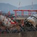 Analysis-South Korea jet crash puts fast-growing Jeju Air’s safety under scrutiny