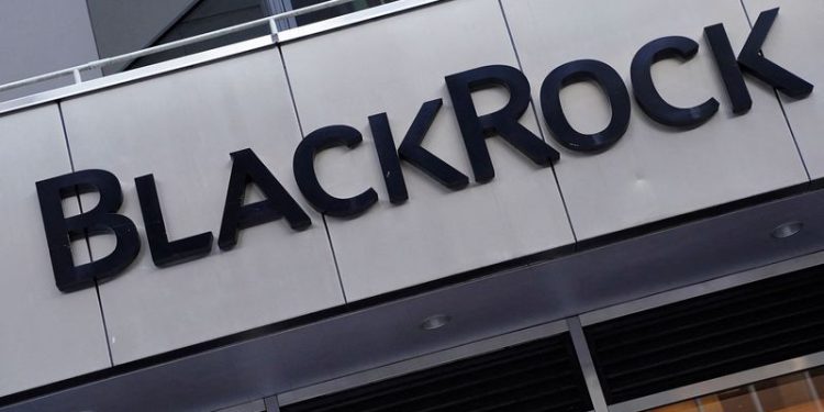 Exclusive-Investor climate group suspends activities after BlackRock exit