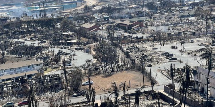 Hawaiian Electric lays out plan to reduce wildfire risk