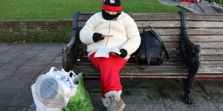 Euro zone households could increase consumption, ECB chief economist says