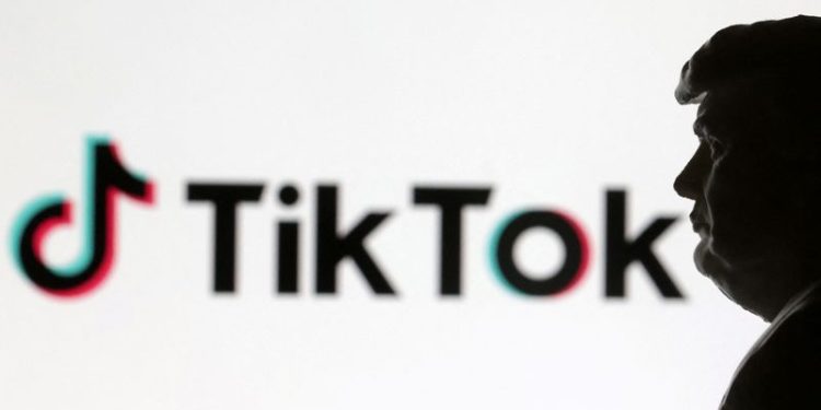 TikTok’s fight against going dark gains support from key US lawmakers