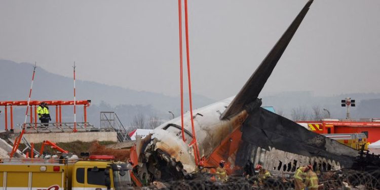Bird feathers, blood found in both engines of crashed jet in South Korea, source says