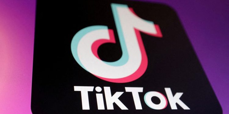 TikTok CEO thanks Trump for push to keep app available in US as ban looms