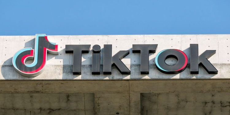 TikTok stops working for US users