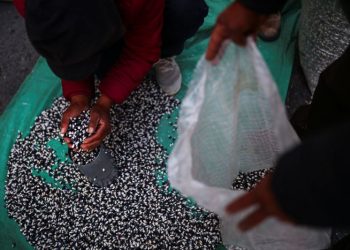 Mexico’s central banker Heath sees inflation dipping below 4% in January