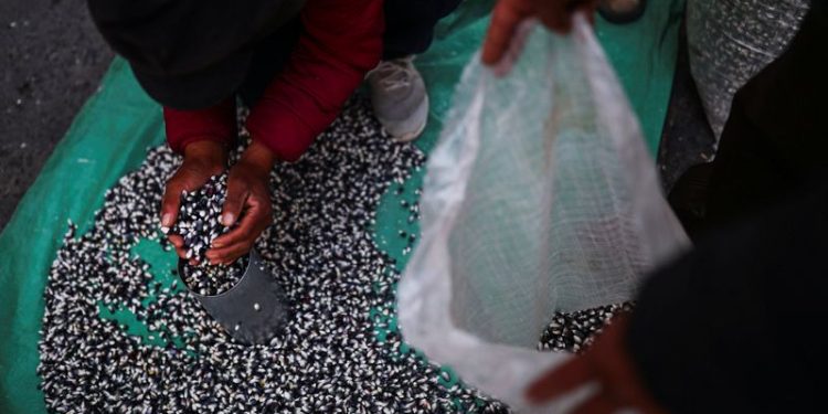 Mexico’s central banker Heath sees inflation dipping below 4% in January