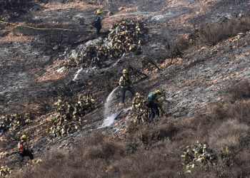 Trump says he will issue executive order to make water available in California