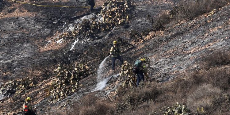 Trump says he will issue executive order to make water available in California