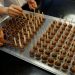 Barry Callebaut’s volumes fall as soaring cocoa prices begin to bite