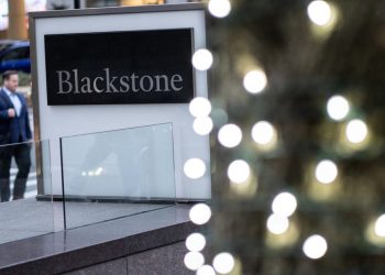 Blackstone to buy $1 billion Virginia power plant near data centers