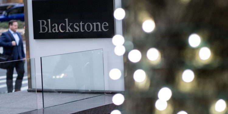 Blackstone to buy $1 billion Virginia power plant near data centers