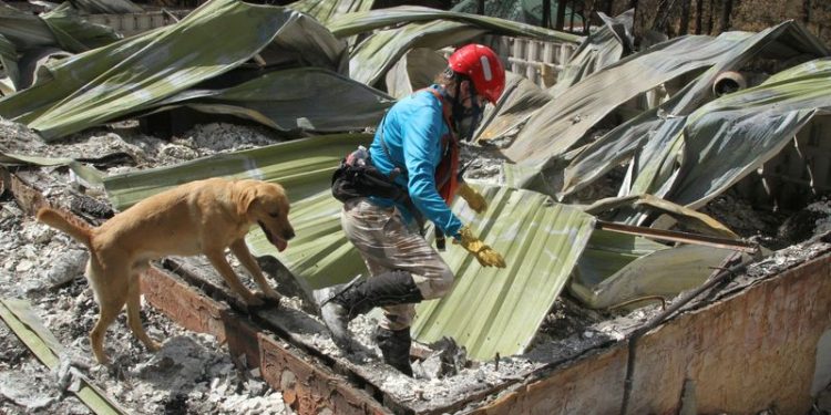 Explainer-What is FEMA, US emergency agency under fire from Trump?