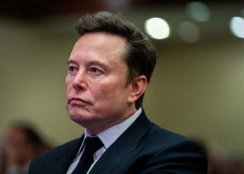 Could Musk really buy US TikTok operations?