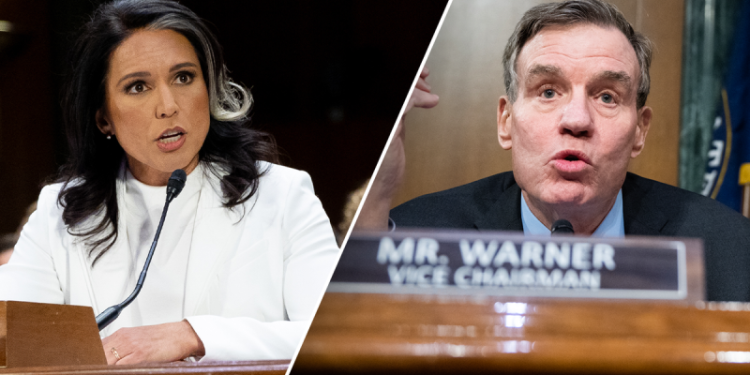 ‘Refuse to be their puppet’: Top 5 moments from Tulsi Gabbard’s confirmation hearing