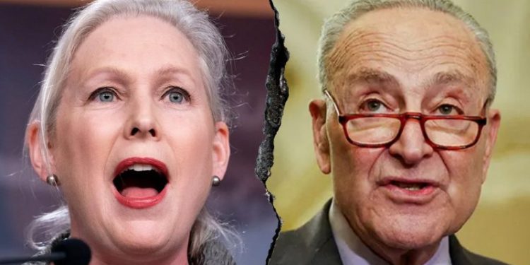 Dem heard screaming at colleagues despite Schumer’s unity claim as shutdown looms