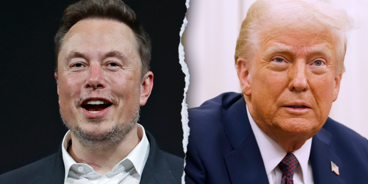 Americans witnessing crippling federal regulations can go directly to DOGE to report red tape rule