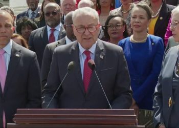 The ‘F-word’: Schumer says Trump’s first 100 days can be distilled to single utterance