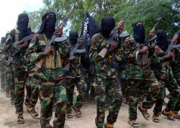 Republican senators move to block Somalia funding until allies pay ‘fair share’