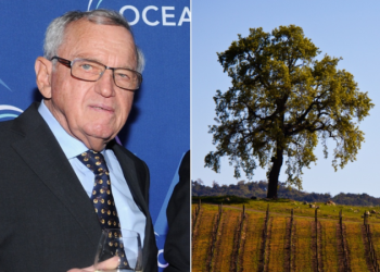 Swiss-born liberal megadonor slapped with lawsuit for allegedly groping, sexually harassing winery employee