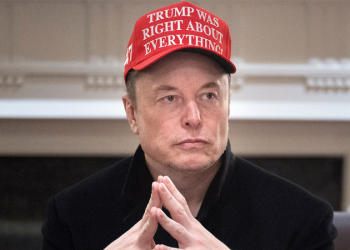 Top 5 most outrageous ways the government has wasted your taxes, as uncovered by Elon Musk’s DOGE