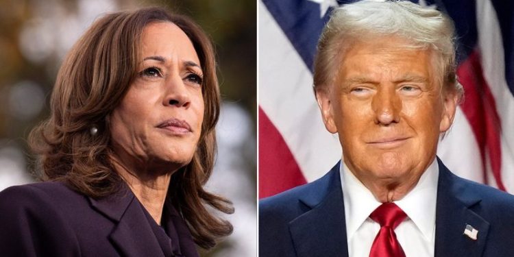 Dems drop $20M on bizarre ‘American men’ strategy plan study in effort to dig out of 2024 political hole