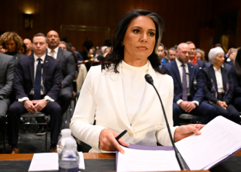 Gabbard fires ‘deep state’ heads of National Intelligence Council to root out ‘politicization of intel’