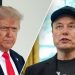 Elon Musk may speak to Trump aides in push to calm feud