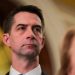 Senate Republican moves to give US an edge on China in harvesting minerals for weapons systems