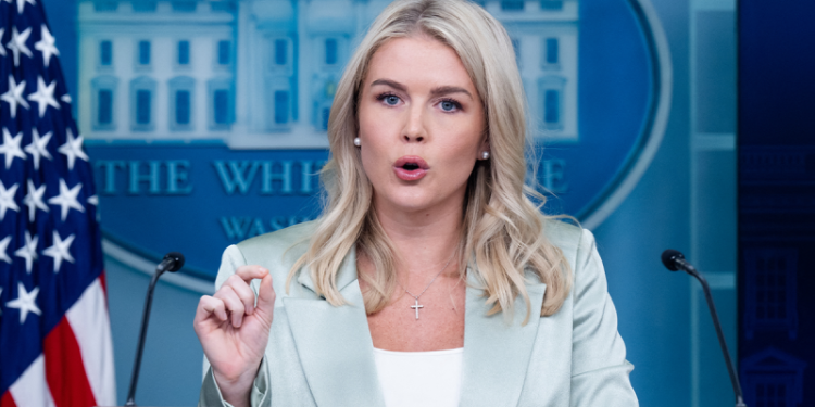 Dem crime policies crippling cities even in Red states as crackdown intensifies, White House warns