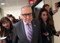 DHS funding bill fails after Schumer rejects Trump’s ICE reform offer